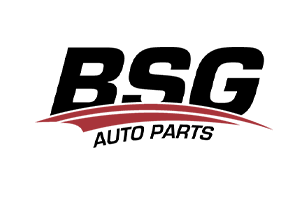 Başbuğ Group BSG