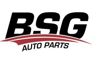 Başbuğ Group BSG