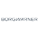 Başbuğ Oto Yedek Parça - BORGWARNER